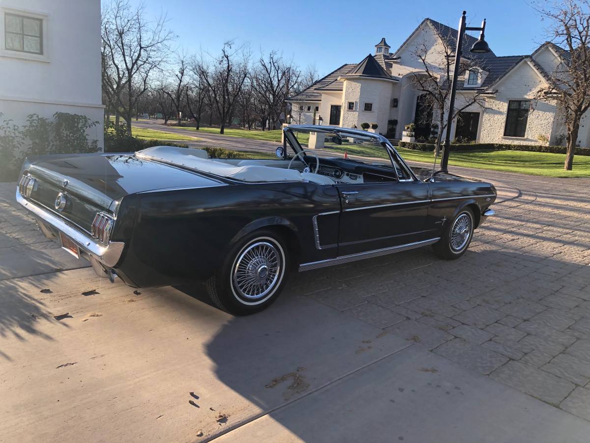 00Z0Z_58NskDp1V8I_1200x900