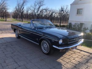 01212_7oV6FL8eCzC_1200x900