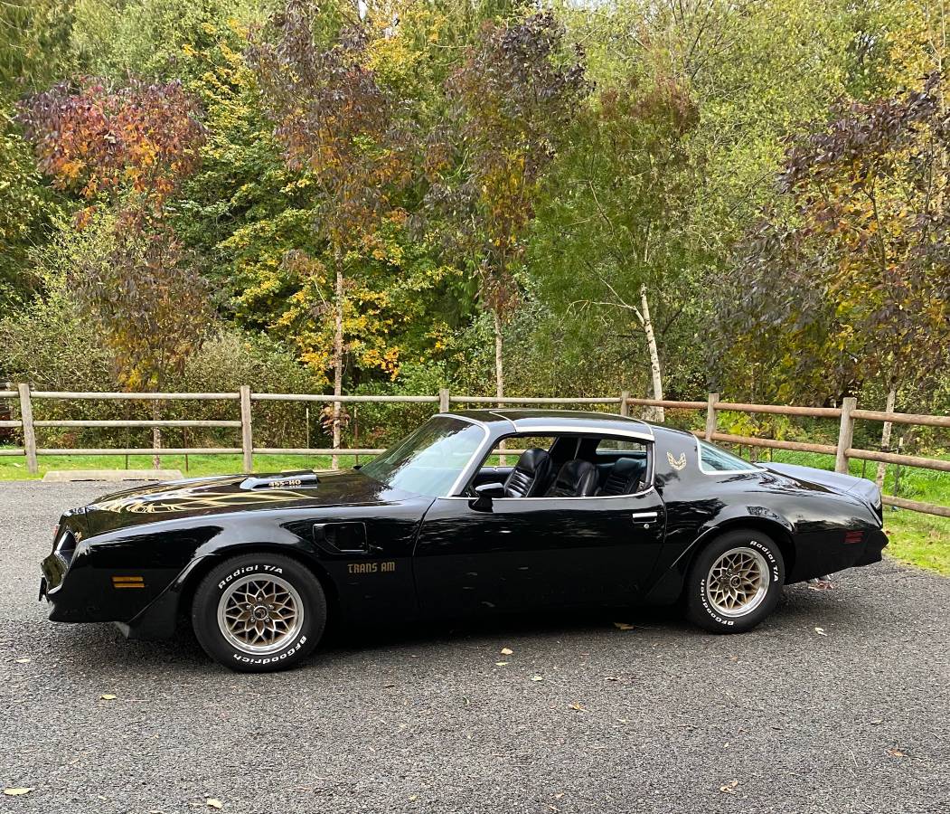 00O0O_b5furTzTBE_0xU0t2_1200x900