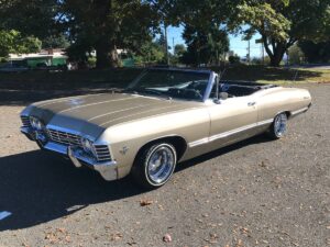 01010_2jlKIBSh3xv_0CI0t2_1200x900