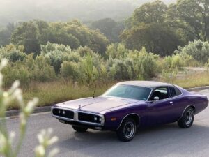 00808_bBcCkKp2tRl_0pO0jm_1200x900