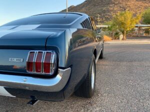 00707_gQZdfDVF1nK_0CI0t2_1200x900